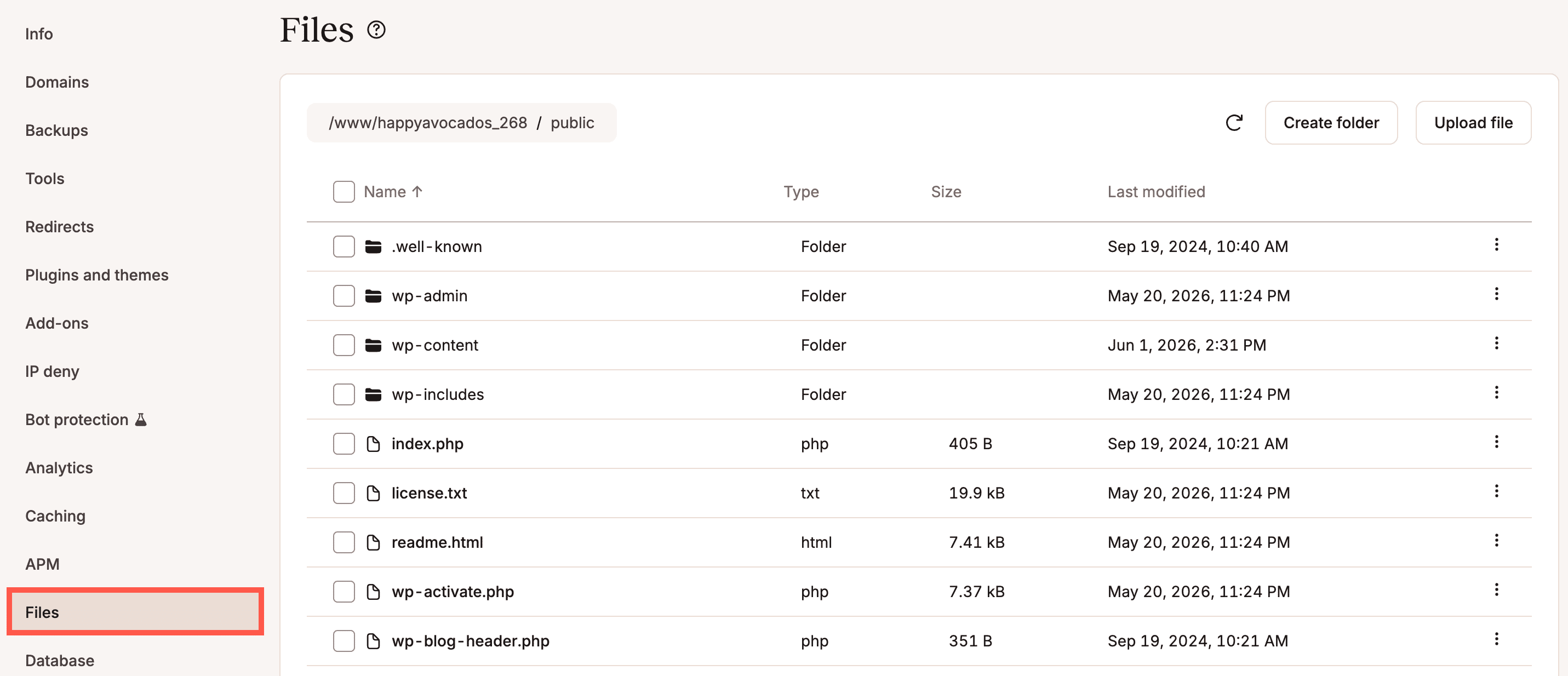 File manager in MyKinsta.