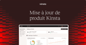 Levez vos boucliers ! Kinsta renforce sa protection contre les vulnérabilités