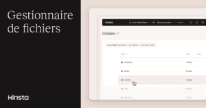 Gérer les fichiers WordPress dans le tableau de bord MyKinsta