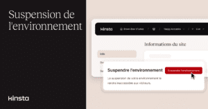 Faire « disparaitre » un site grâce à la suspension de l’environnement