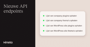 WordPress plugins en thema’s beheren met de Kinsta API