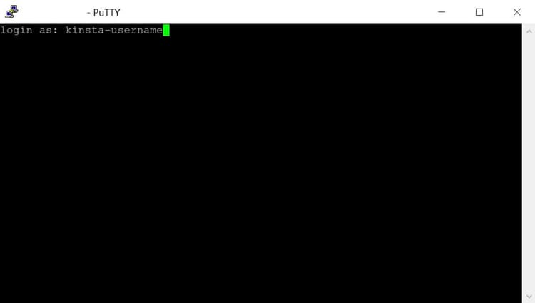 Enter your Kinsta username in PuTTY and press Enter/return.