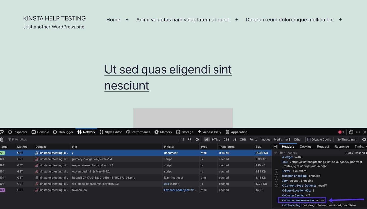 Het bekijken van de X-Kinsta-preview-mode: active header in je browser.