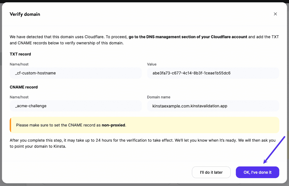 Haz clic en el botón Aceptar, lo he hecho en MyKinsta para el segundo conjunto de registros DNS.