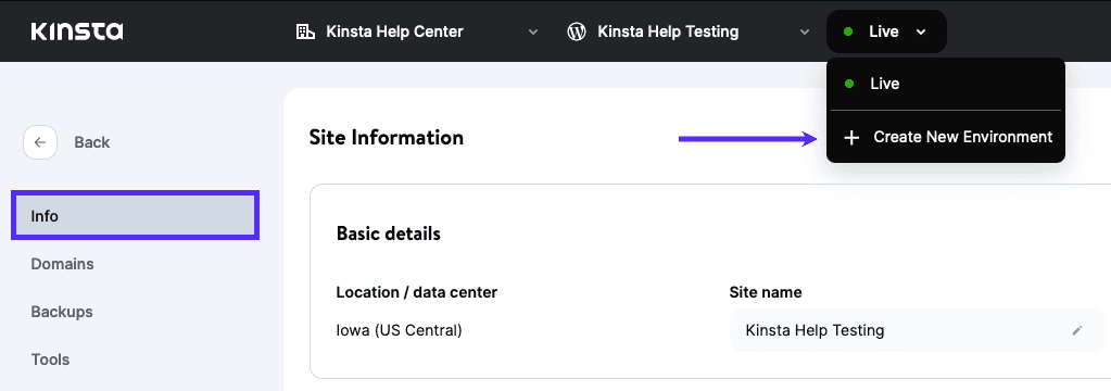 Erstellen einer neuen Kinsta-Staging-Umgebung in MyKinsta, mit einem lila Pfeil, der auf den Link für "Neue Umgebung erstellen" zeigt.