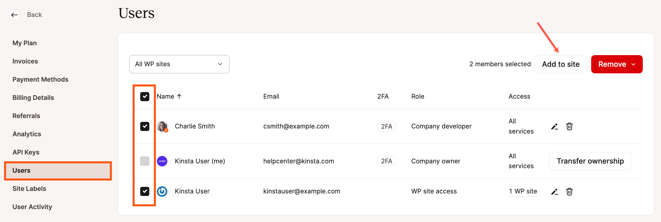 Añadir varios usuarios a un sitio en MyKinsta.