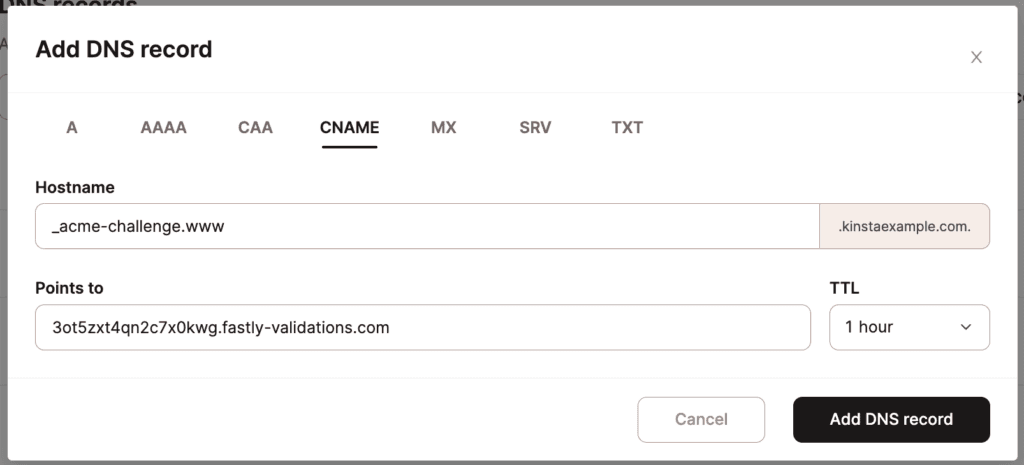 Hinzufügen deines CNAME-Eintrags zur Domain-Verifizierung in Kinsta's DNS.