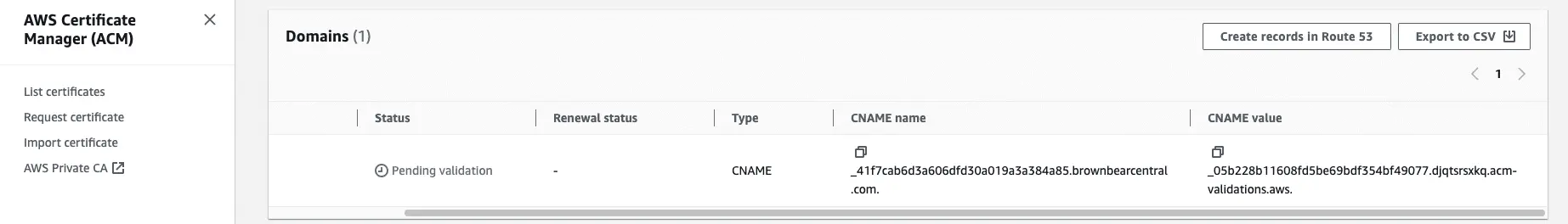 CNAME record details for domain validation.