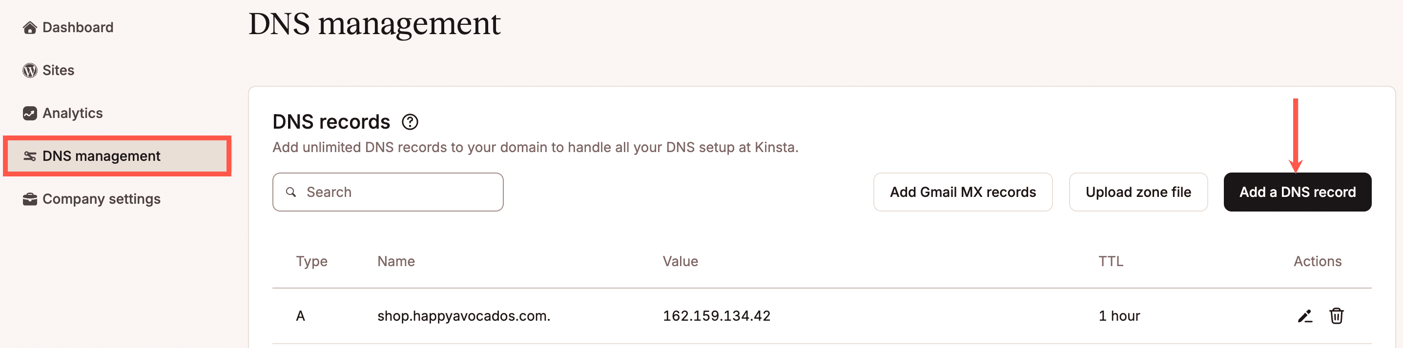 Add a DNS record in MyKinsta.