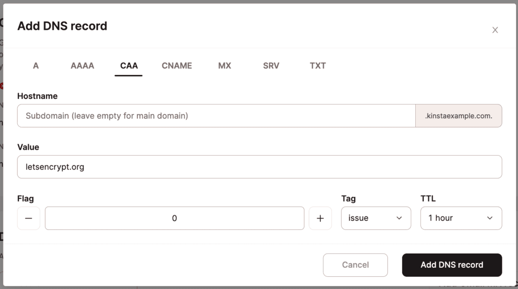 Adicionar um registro CAA no DNS da Kinsta.