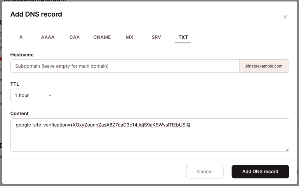 Voeg een TXT record toe in Kinsta's DNS.