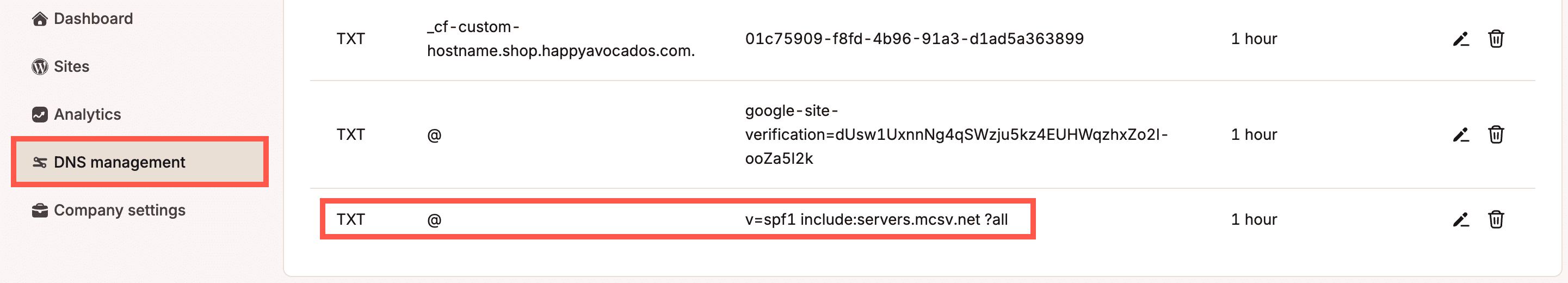An SPF TXT record in Kinsta's DNS.
