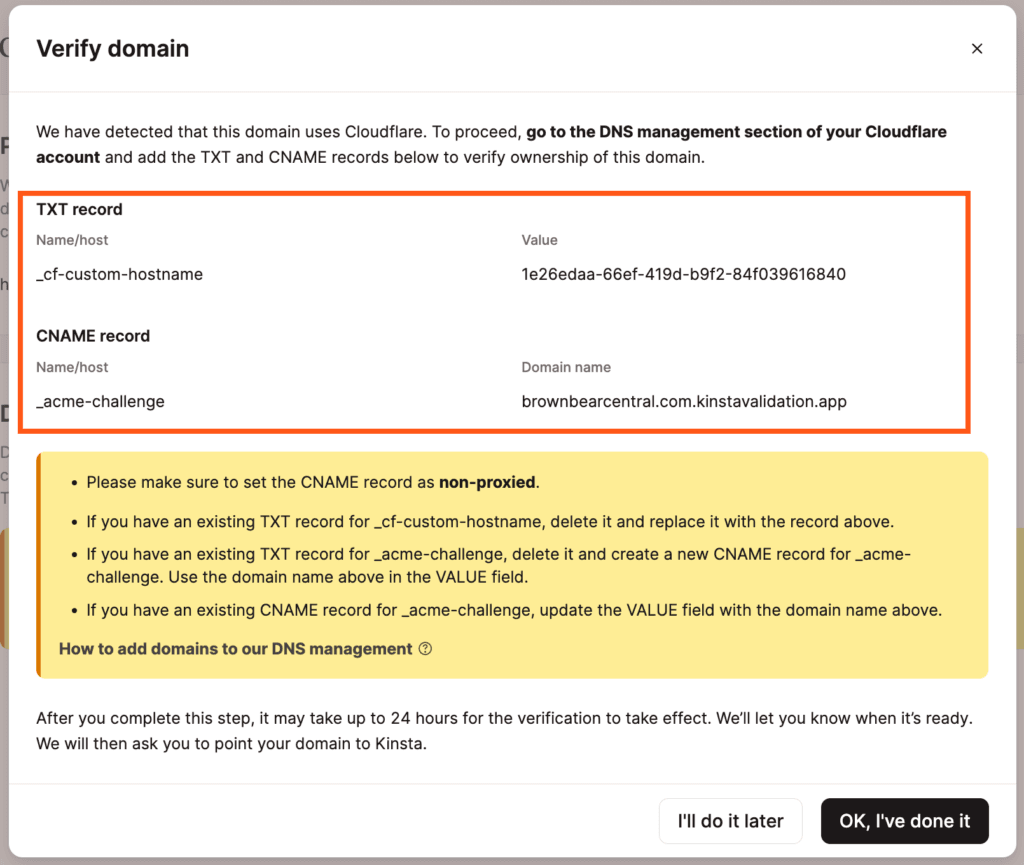 Segundo conjunto de registros DNS en MyKinsta para verificar el dominio de Cloudflare.