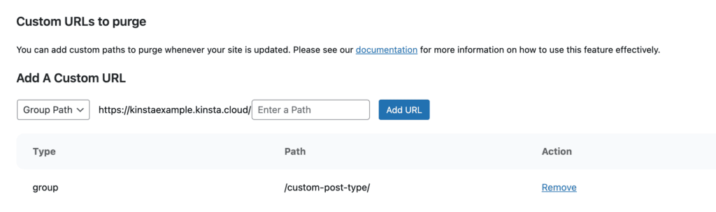 Custom URL group path in Kinsta Cache.