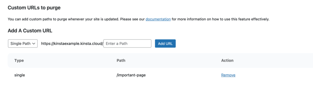 Custom URL single path in Kinsta Cache.