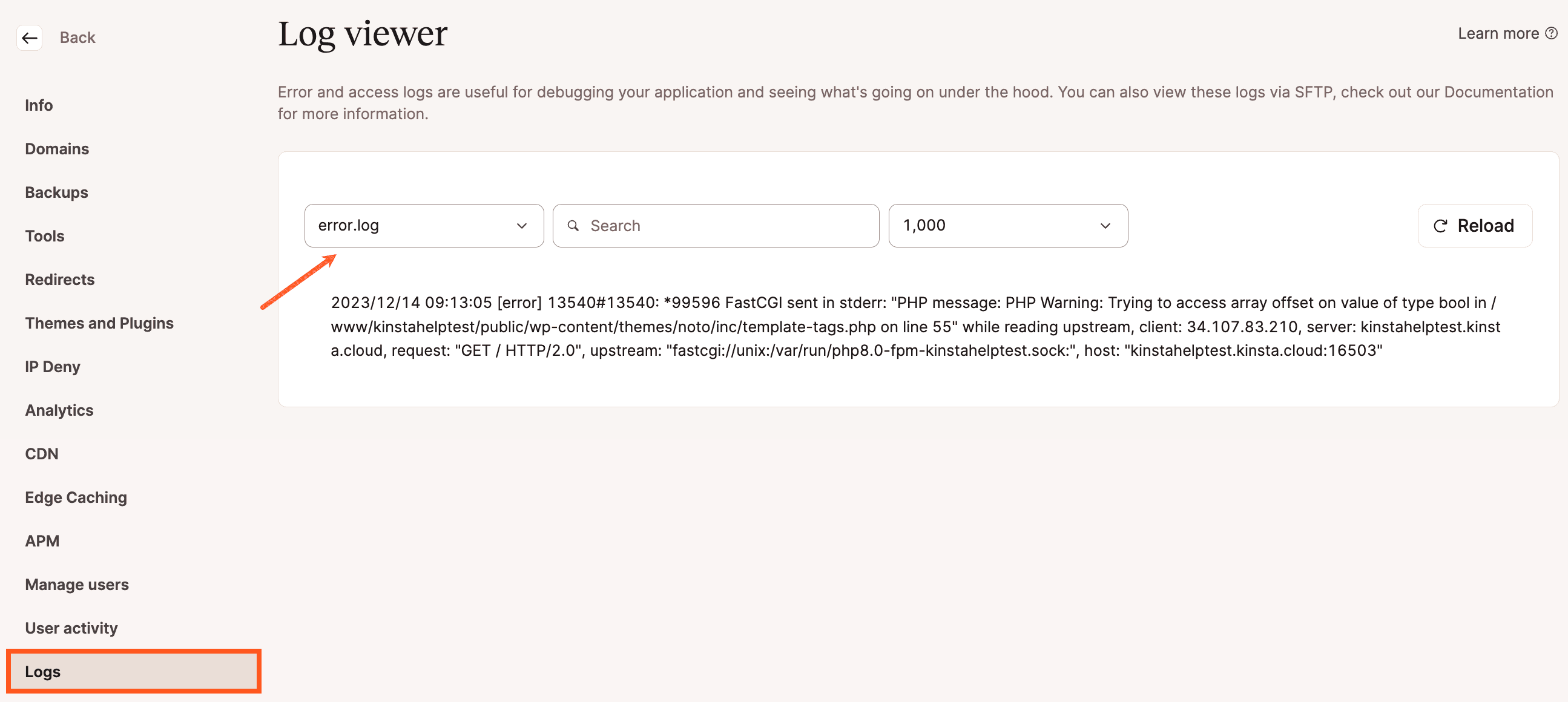 Il file error.log nel visualizzatore dei log in MyKinsta.