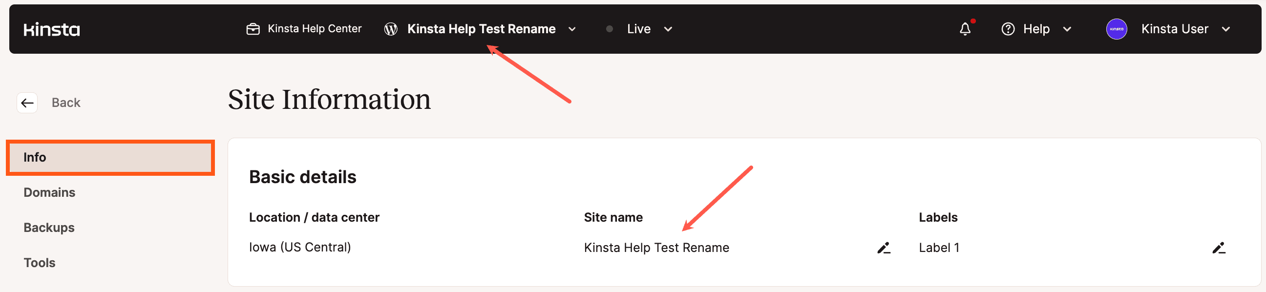 Beispiel für eine umbenannte Website in MyKinsta