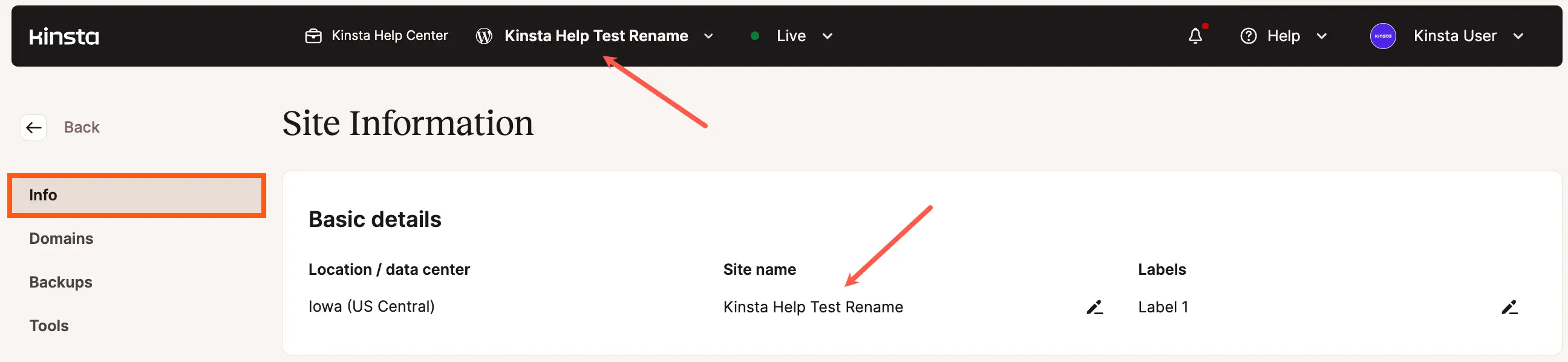 Ejemplo de un sitio renombrado en MyKinsta.