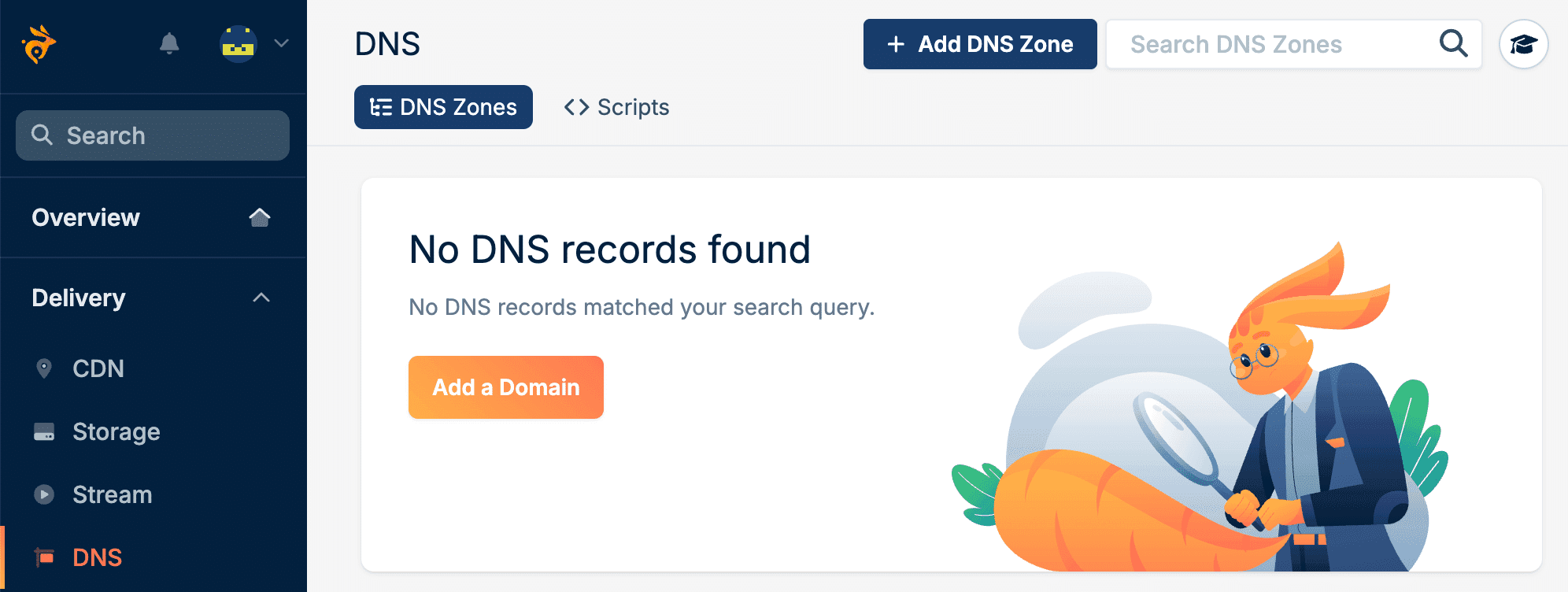 Add a domain in Bunny.