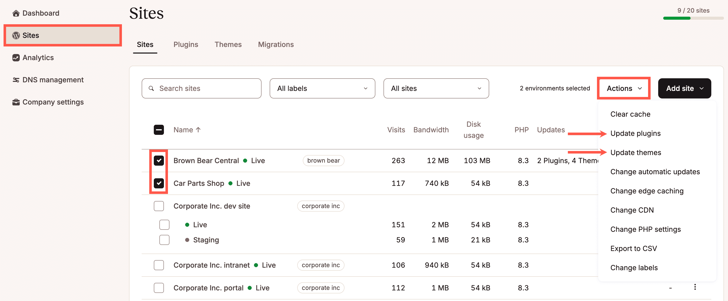 Select which environments you want to update plugins or themes for.