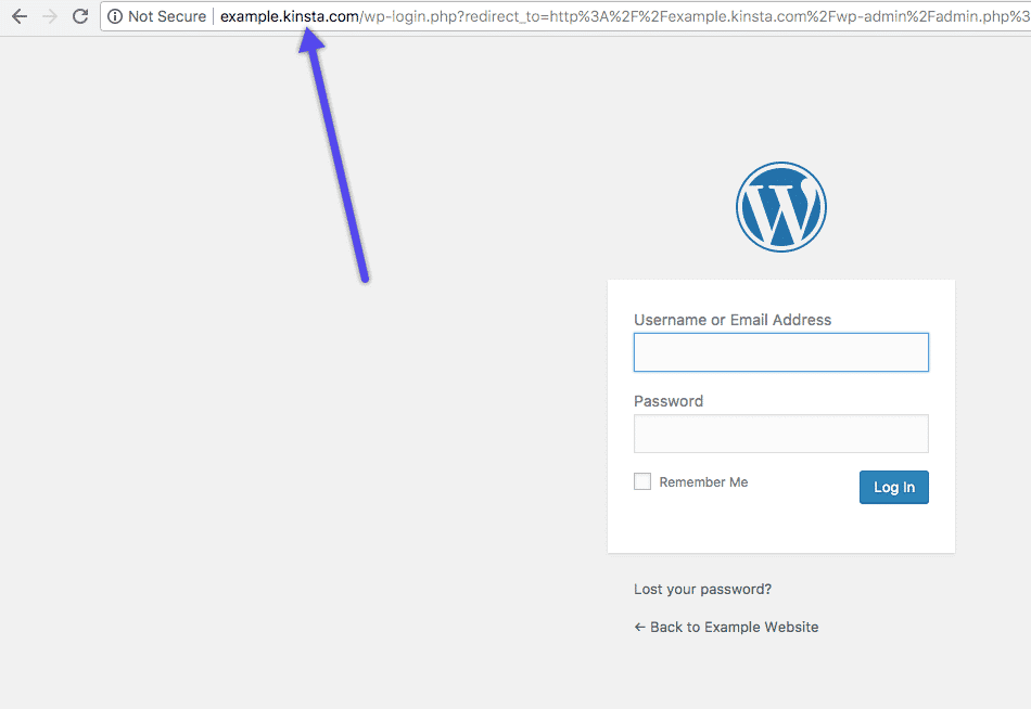Login to Kinsta temporary URL