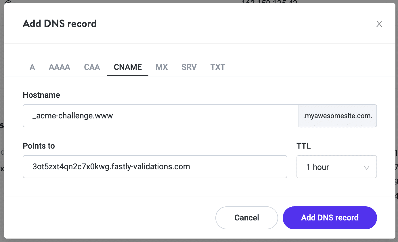 Adding your domain verification CNAME in Kinsta DNS.