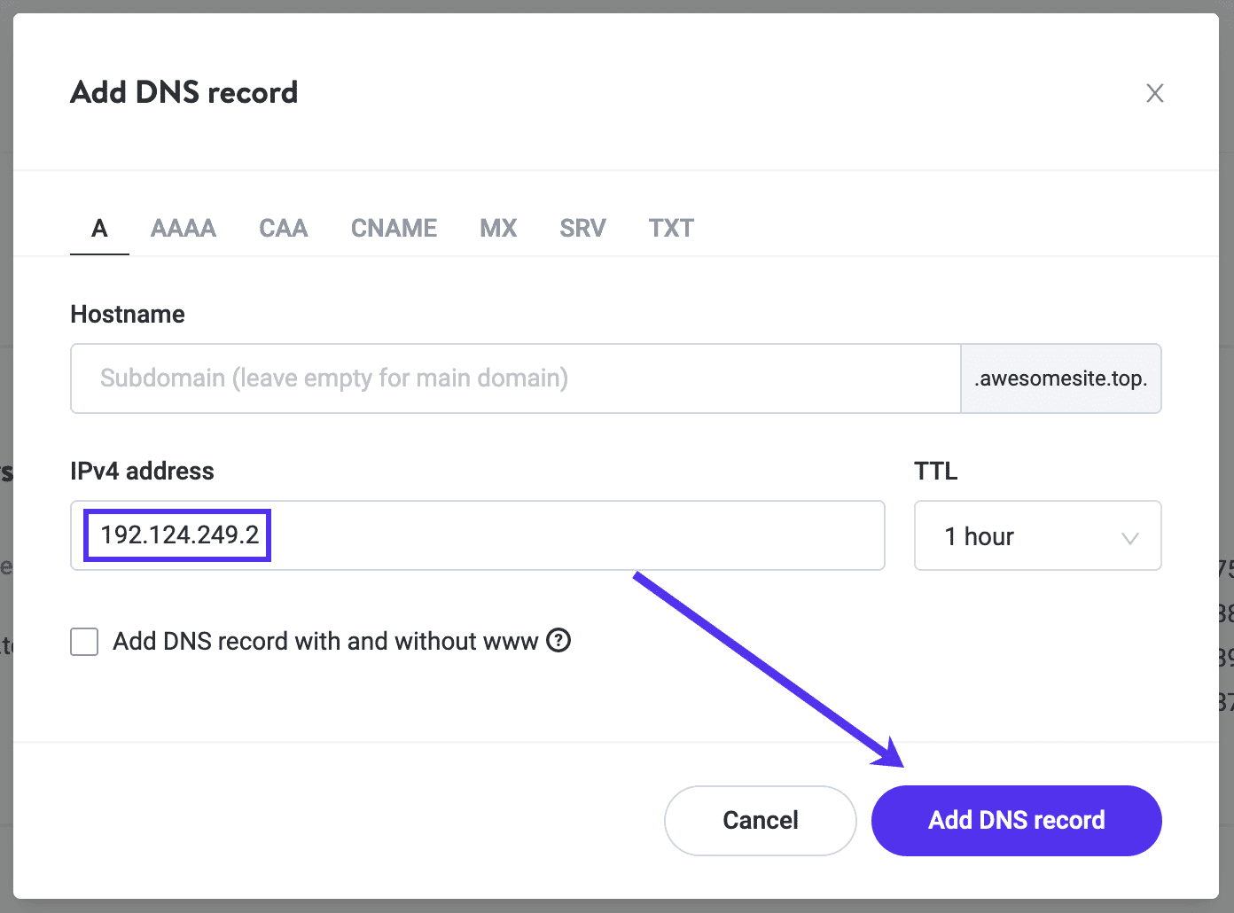 Adding an A record to your domain in Kinsta DNS.