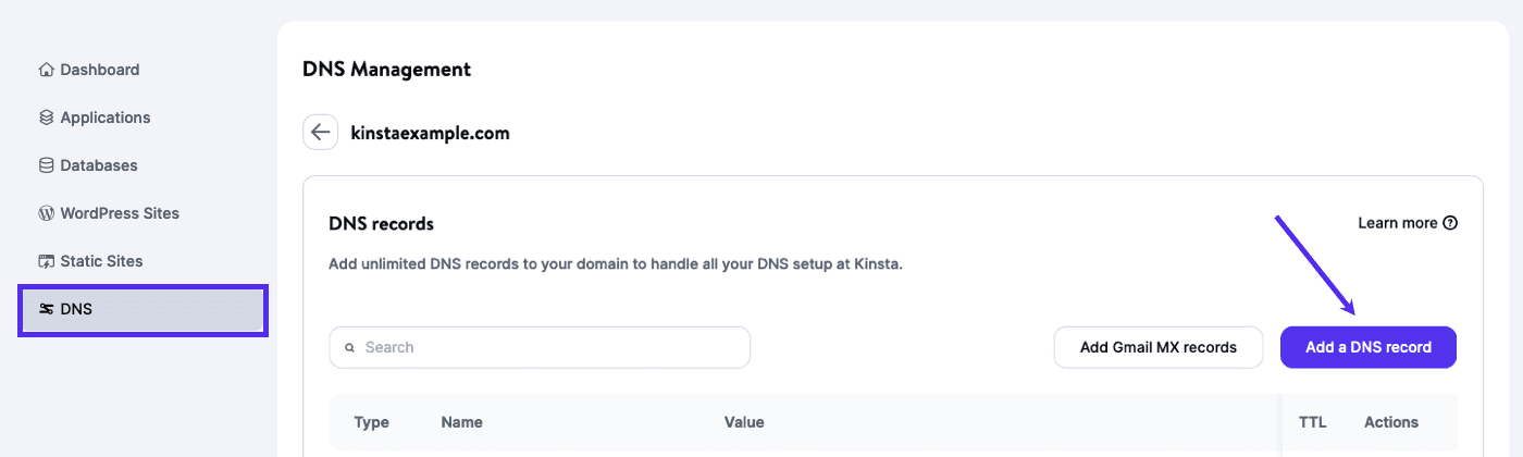 Add a DNS record in MyKinsta.