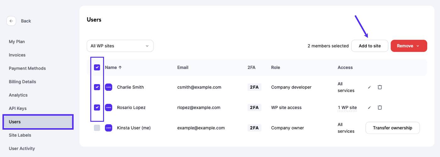 Add multiple users to a site in MyKinsta.