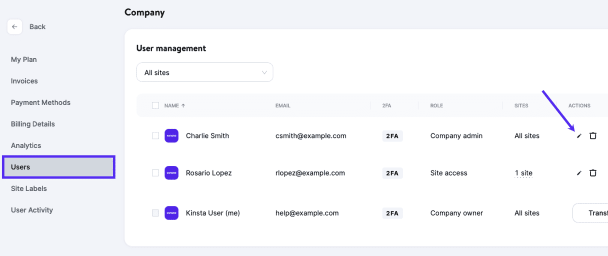 Edit a company-level user in MyKinsta.