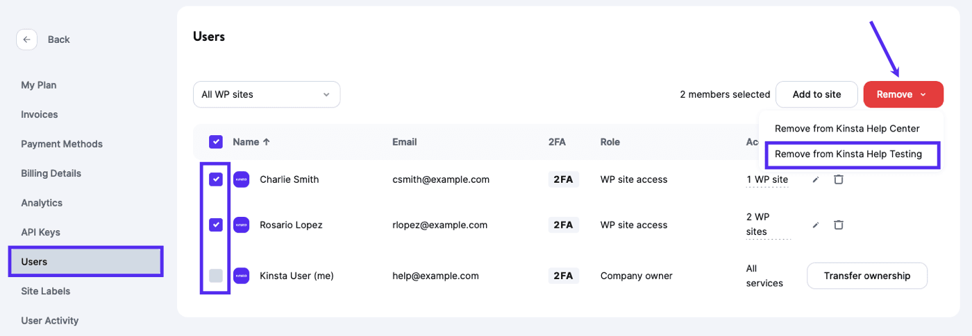Select and remove multiple users from a WordPress site in MyKinsta.