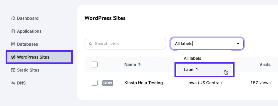 Filter by site label in MyKinsta.