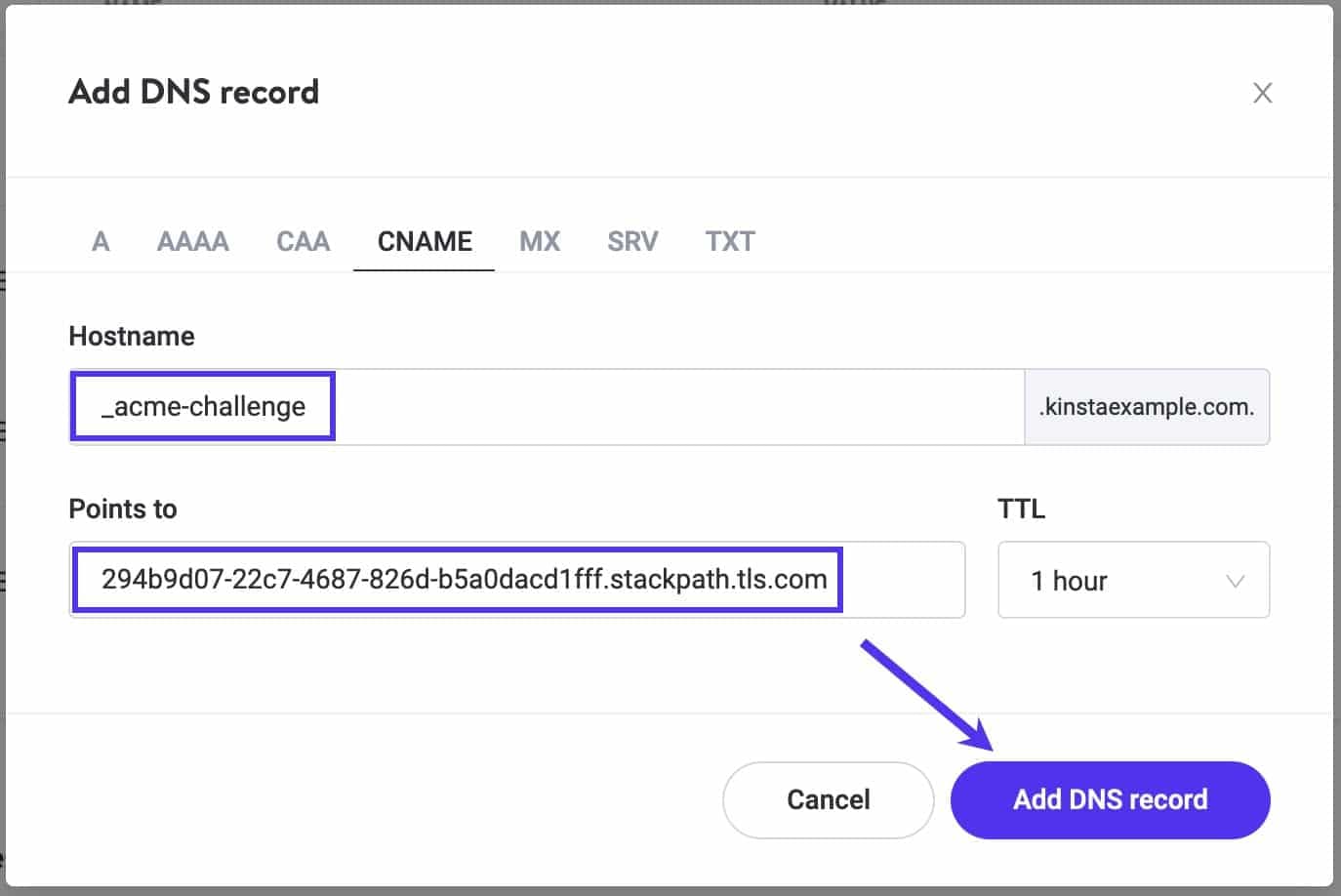 Add your domain verification CNAME in Kinsta DNS.
