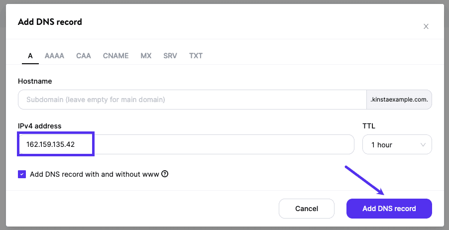 Create an A record in Kinsta's DNS.