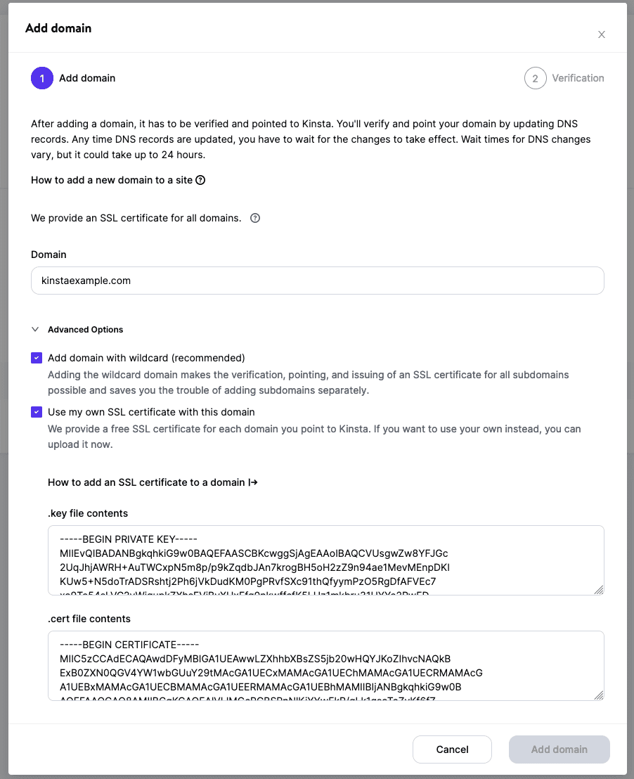 Add your custom domain and custom SSL certificate in MyKinsta.