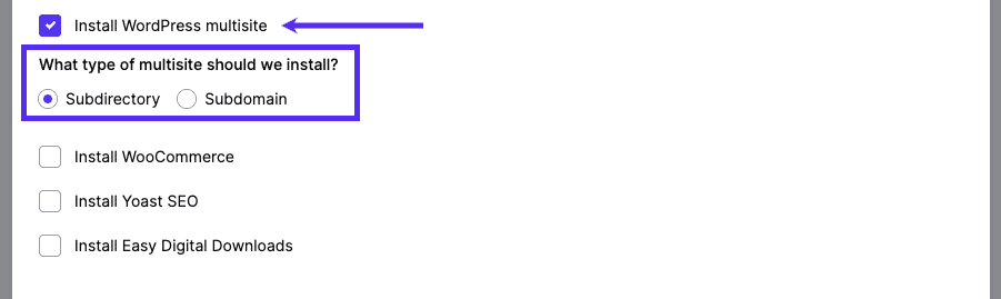Select multisite when adding a new site in MyKinsta.