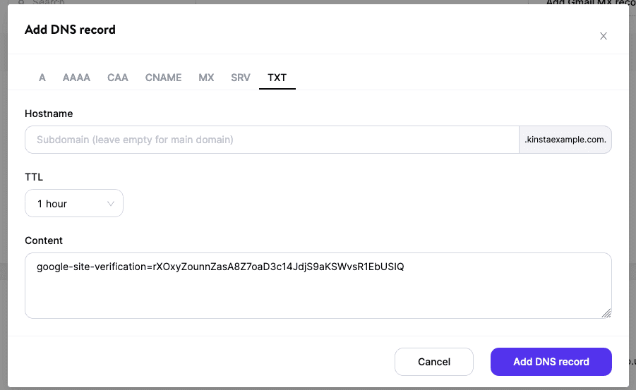Add a TXT record in Kinsta's DNS.