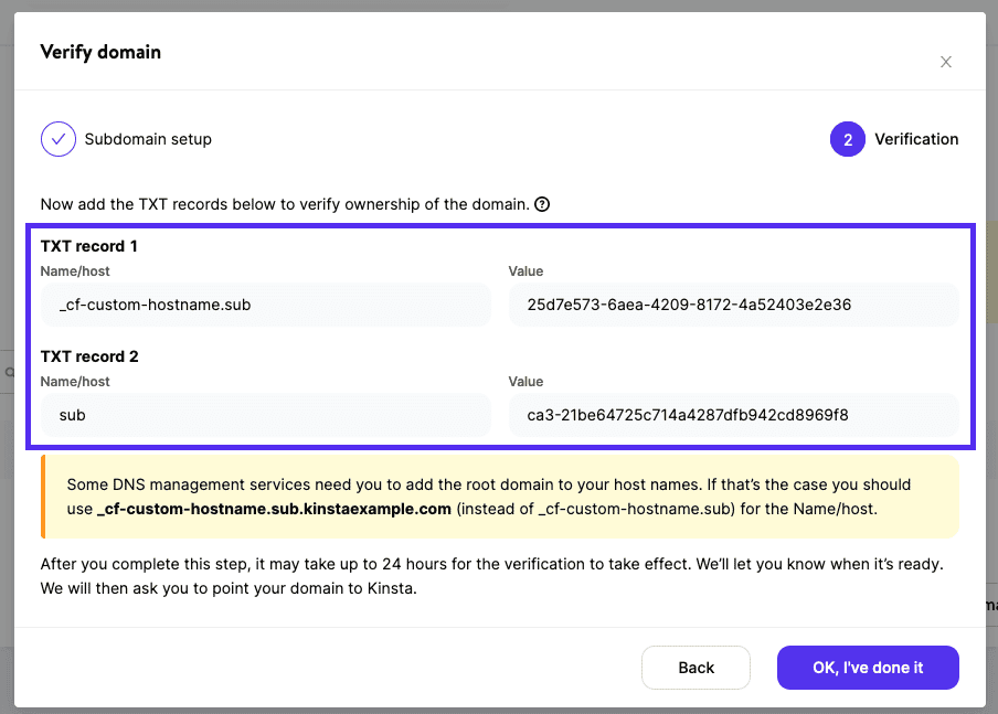 TXT records to verify your subdomain.