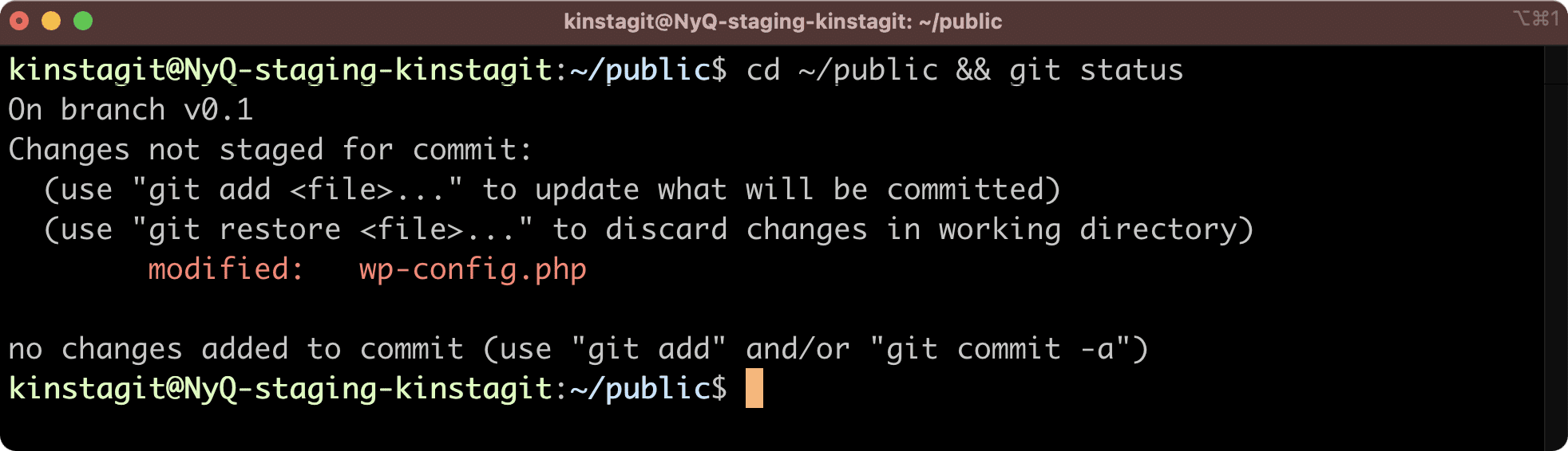 Changed files in the Kinsta staging environment.