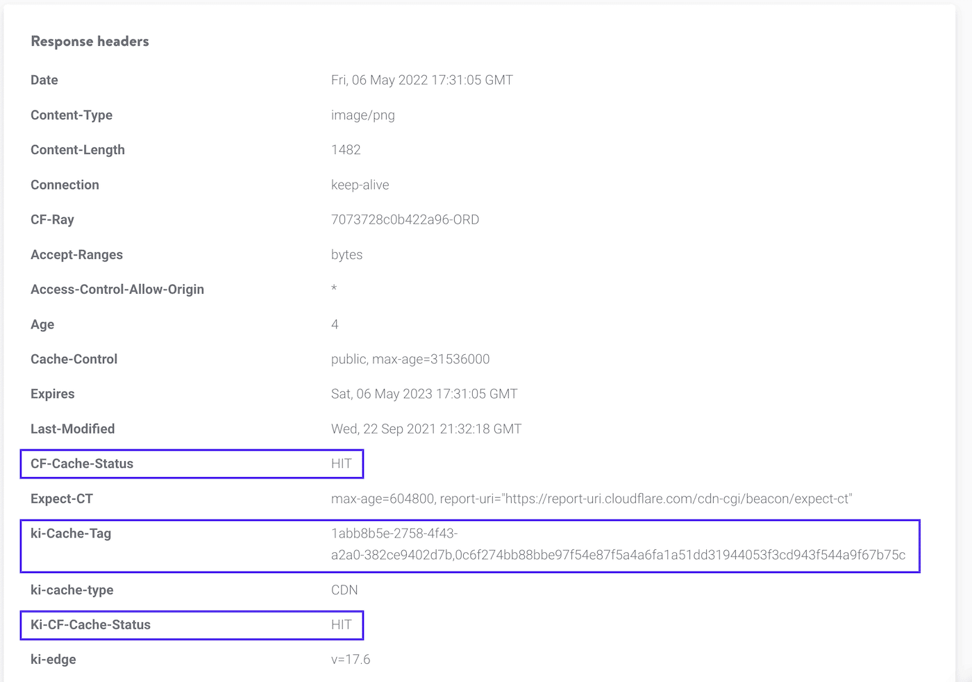 HTTP headers in the results of Kinsta's HTTP Status and Redirect Checker tool.