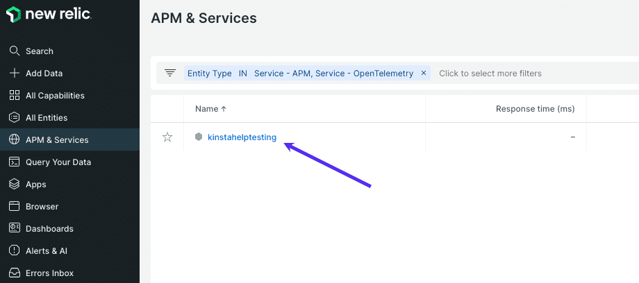 Viewing APM & Services In New Relic.