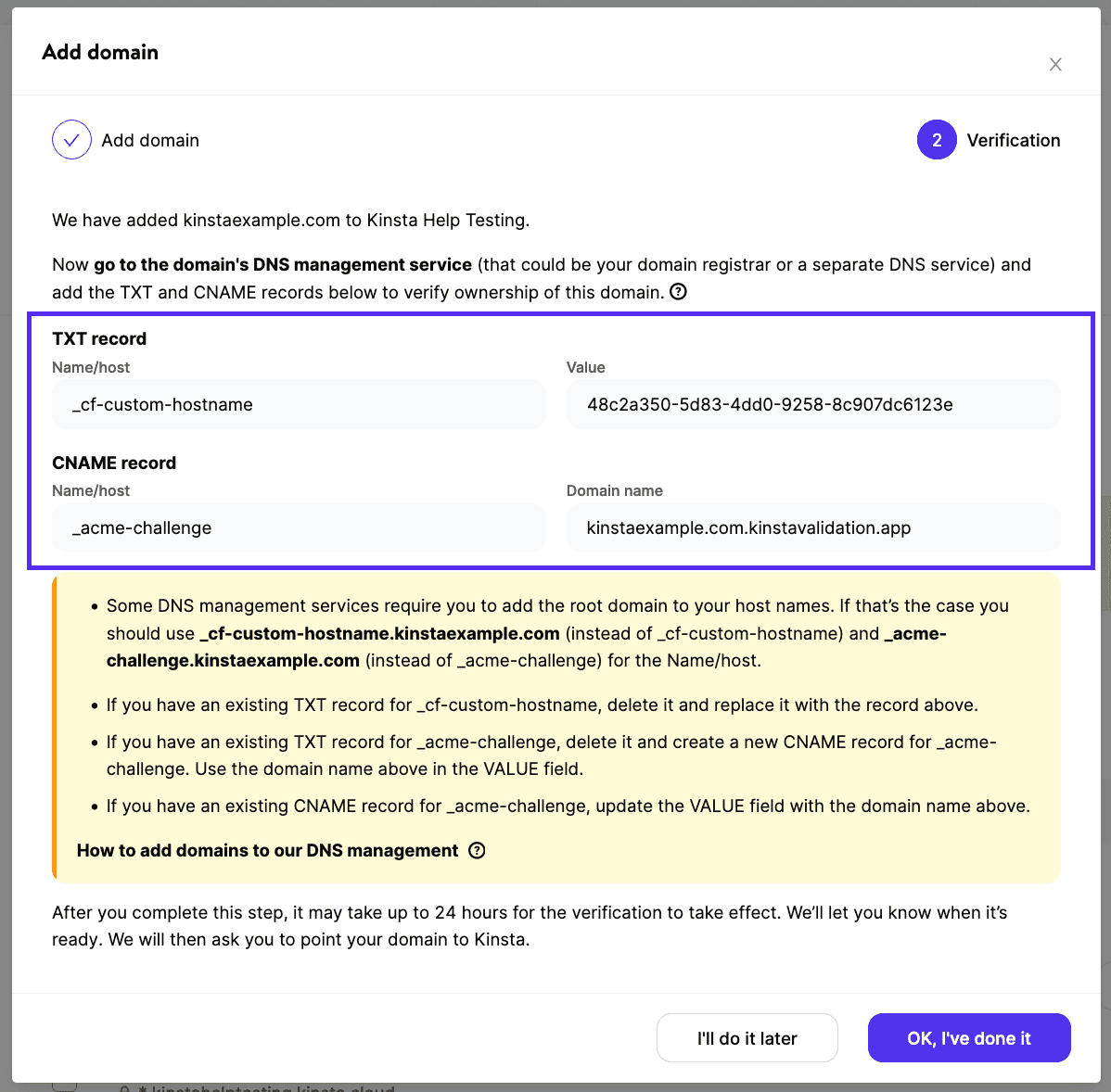 DNS records in MyKinsta to verify your domain.