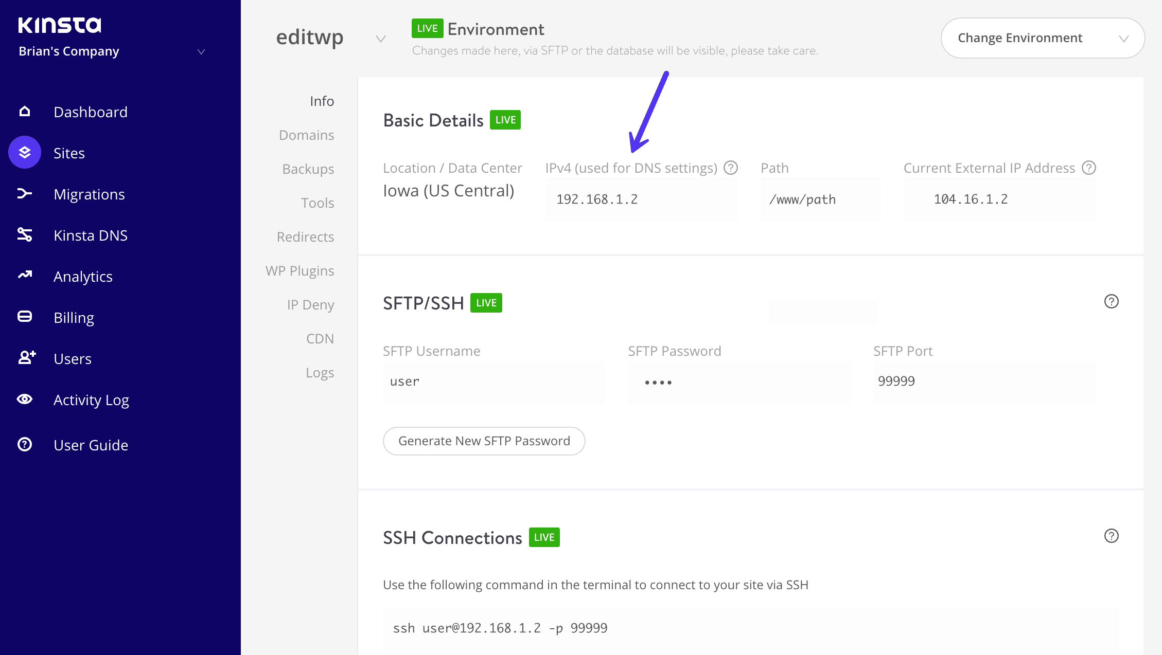WordPress IPv4 Adresse