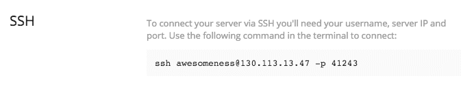 Kinsta SSH Befehl