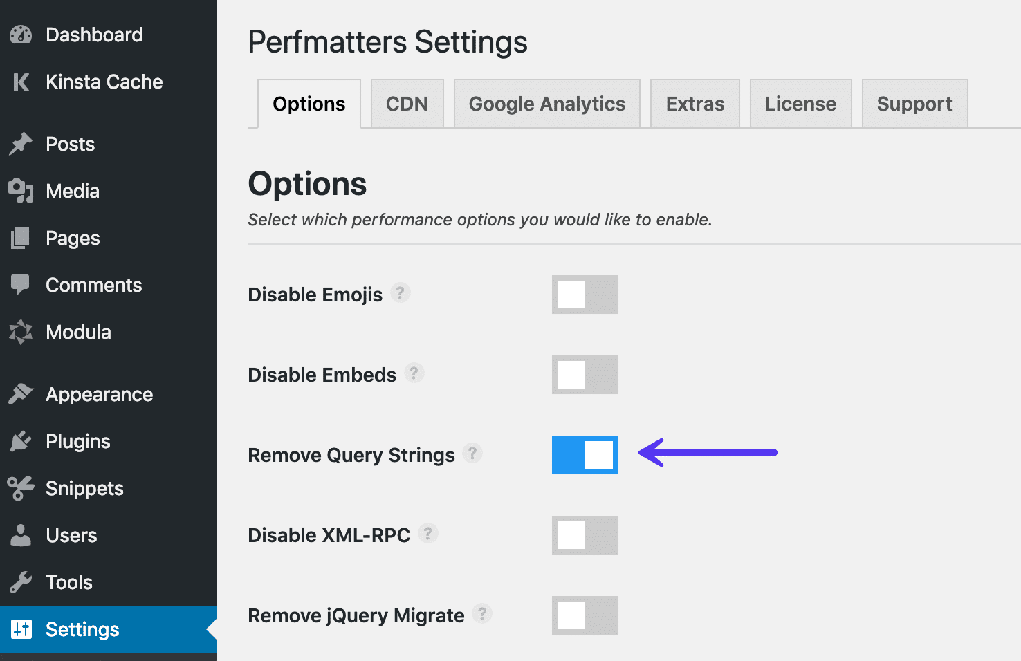 Entferne Query Strings mit dem Perfmatters Plugin