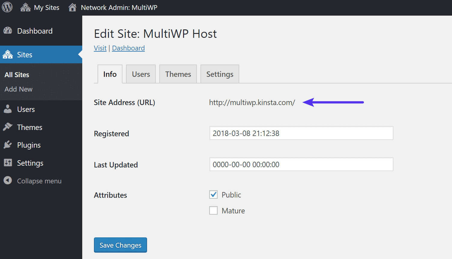 WordPress Multisite-Haupt-Unterseitenadresse URL