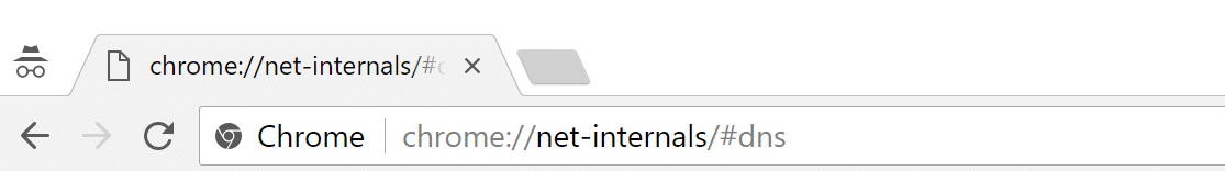 Chrome Net-Interna