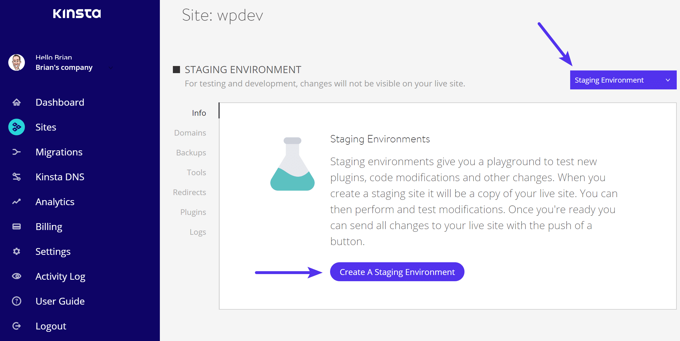 WordPress staging environment WordPress Staging-Umgebung