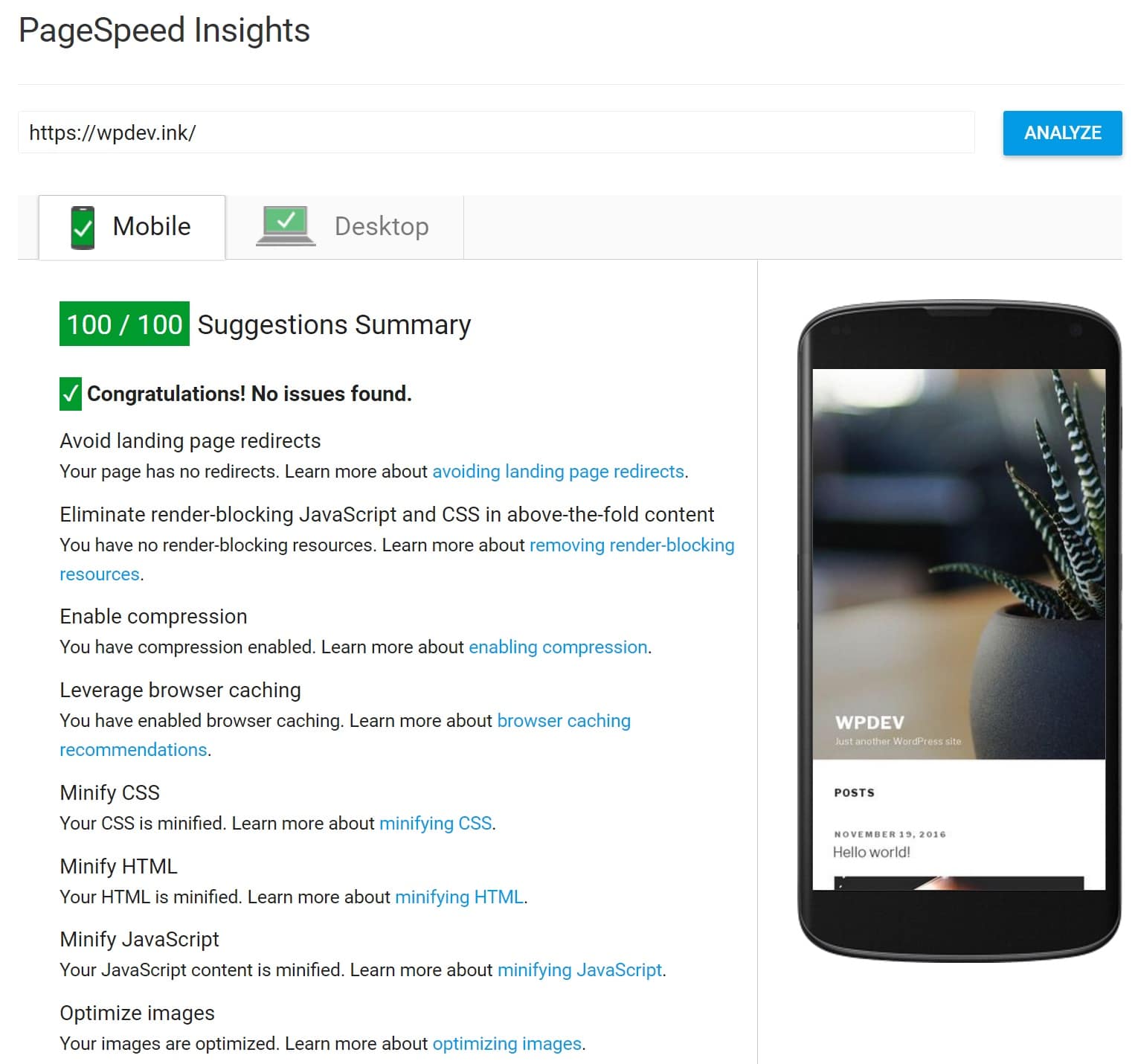 pagespeed insights