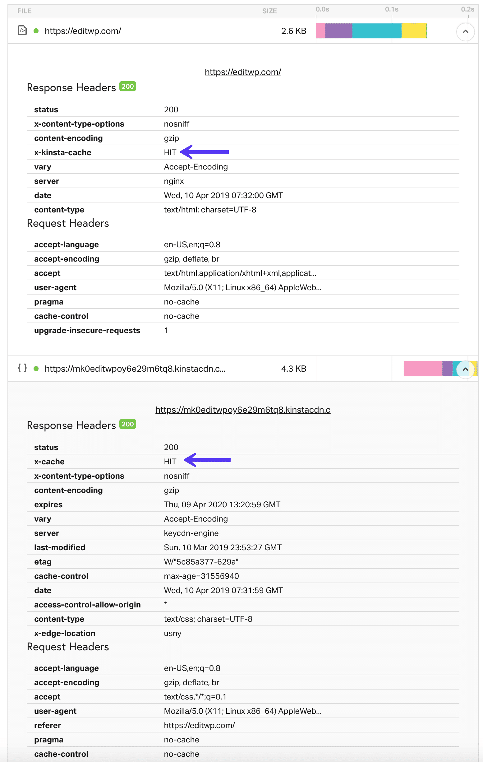 WordPress Host und CDN Cache